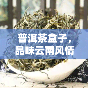 普洱茶盒子，品味云南风情：探索普洱茶盒子的世界