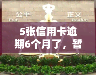 5张信用卡逾期6个月了，暂时没能力还，如何应对？