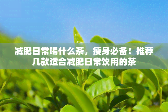 减肥日常喝什么茶，瘦身必备！推荐几款适合减肥日常饮用的茶