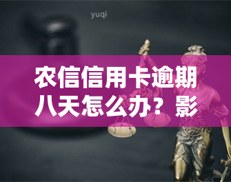 农信信用卡逾期八天怎么办？影响及解决办法全解析