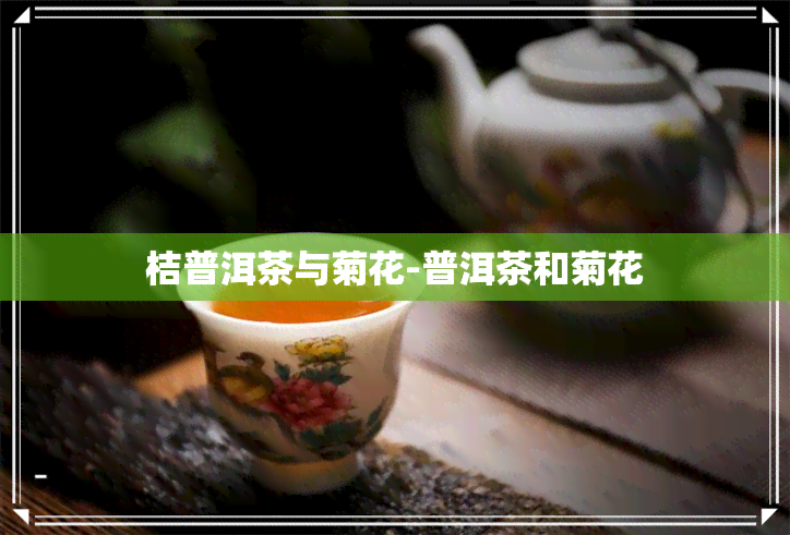 桔普洱茶与菊花-普洱茶和菊花