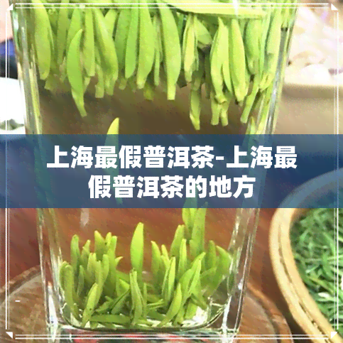 上海最假普洱茶-上海最假普洱茶的地方