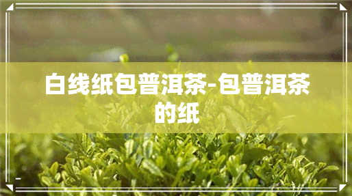 白线纸包普洱茶-包普洱茶的纸