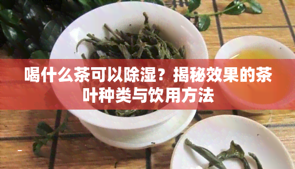 喝什么茶可以除湿？揭秘效果的茶叶种类与饮用方法