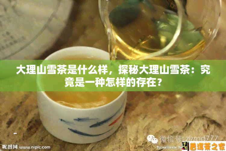 大理山雪茶是什么样，探秘大理山雪茶：究竟是一种怎样的存在？