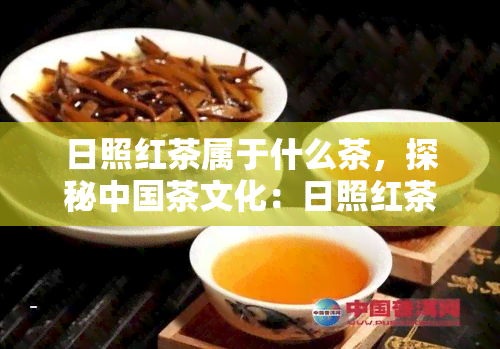 日照红茶属于什么茶，探秘中国茶文化：日照红茶，你了解它的种类吗？