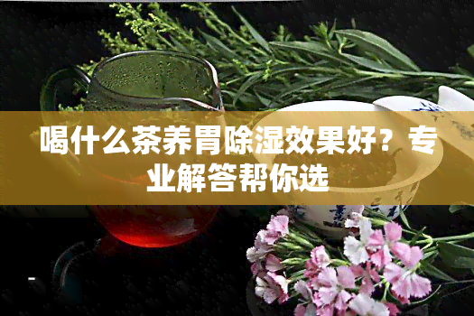 喝什么茶养胃除湿效果好？专业解答帮你选