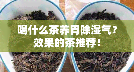 喝什么茶养胃除湿气？效果的茶推荐！