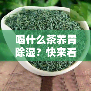 喝什么茶养胃除湿？快来看看哪种茶最适合你！