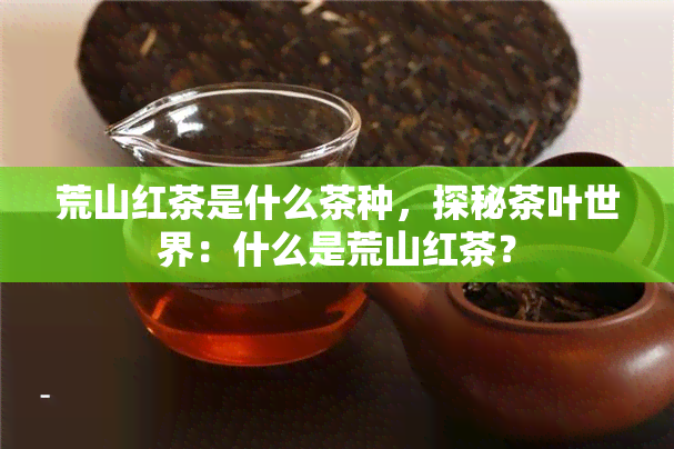 荒山红茶是什么茶种，探秘茶叶世界：什么是荒山红茶？