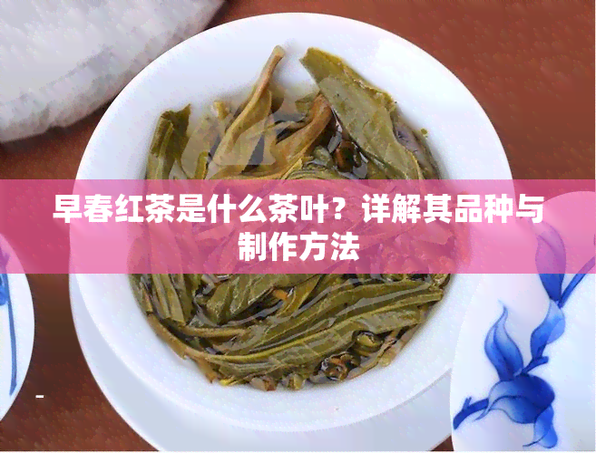 早春红茶是什么茶叶？详解其品种与制作方法