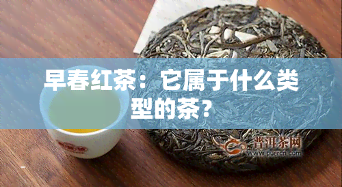 早春红茶：它属于什么类型的茶？