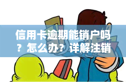 信用卡逾期能销户吗？怎么办？详解注销流程及注意事