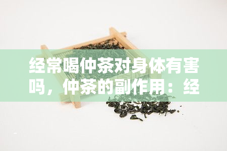 经常喝仲茶对身体有害吗，仲茶的副作用：经常饮用是否对身体有害？