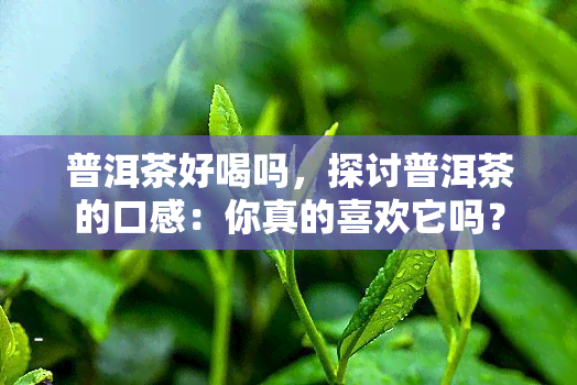 普洱茶好喝吗，探讨普洱茶的口感：你真的喜欢它吗？