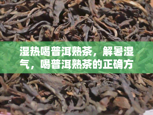 湿热喝普洱熟茶，解暑湿气，喝普洱熟茶的正确方式