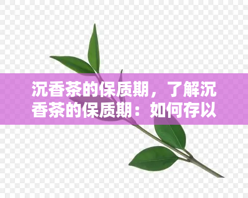 沉香茶的保质期，了解沉香茶的保质期：如何存以确保口感