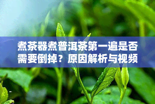 煮茶器煮普洱茶之一遍是否需要倒掉？原因解析与视频展示