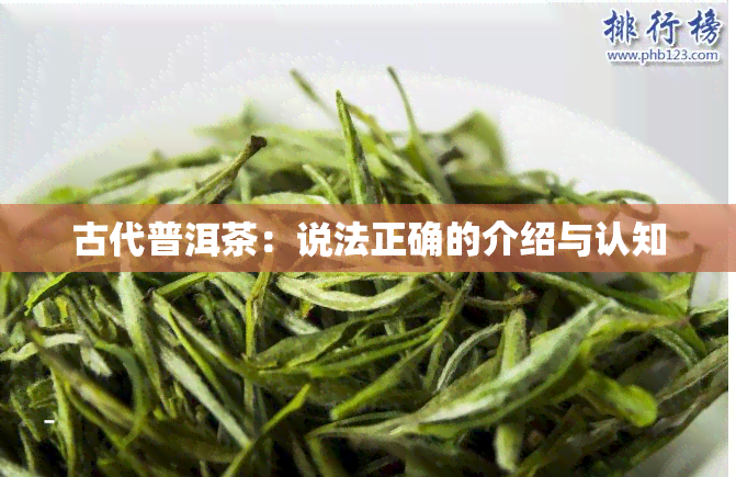 古代普洱茶：说法正确的介绍与认知