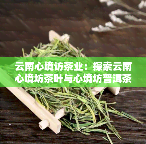 云南心境访茶业：探索云南心境坊茶叶与心境坊普洱茶的故事