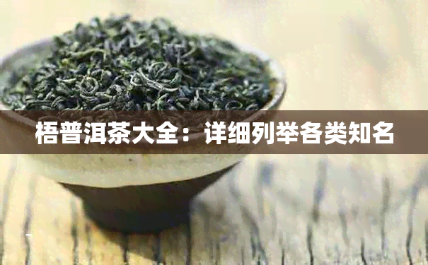 梧普洱茶大全：详细列举各类知名