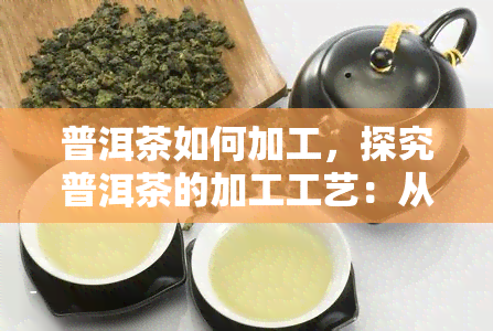 普洱茶如何加工，探究普洱茶的加工工艺：从采摘到发酵的全过程