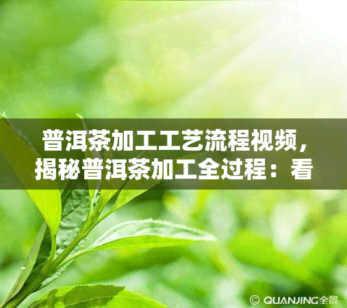 普洱茶加工工艺流程视频，揭秘普洱茶加工全过程：看视频了解独特工艺流程