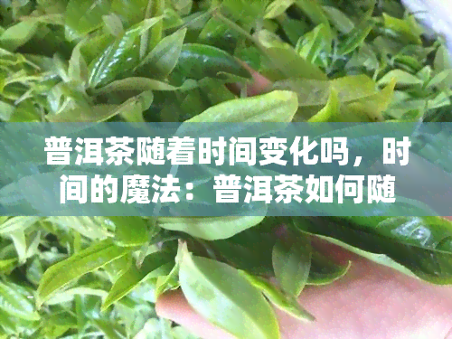 普洱茶随着时间变化吗，时间的魔法：普洱茶如何随着时间推移而变化？