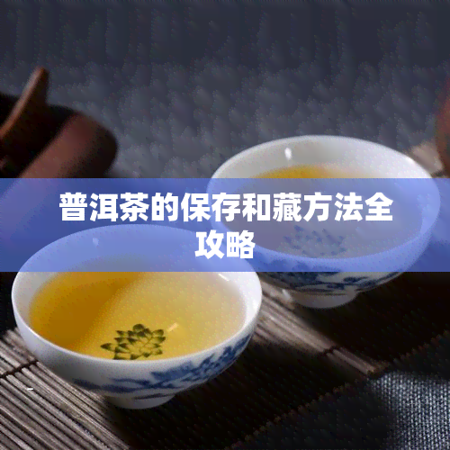 普洱茶的保存和藏方法全攻略