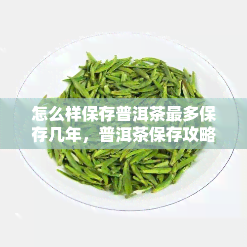 怎么样保存普洱茶最多保存几年，普洱茶保存攻略：最长能存放几年？