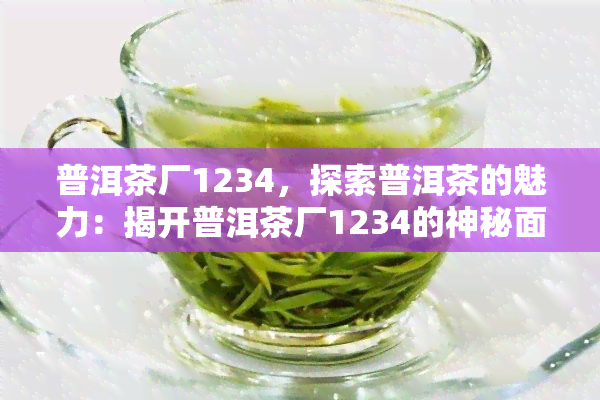 普洱茶厂1234，探索普洱茶的魅力：揭开普洱茶厂1234的神秘面纱