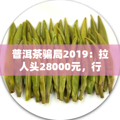 普洱茶骗局2019：拉人头28000元，行业乱象曝光