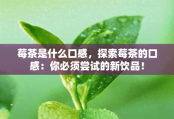 莓茶是什么口感，探索莓茶的口感：你必须尝试的新饮品！