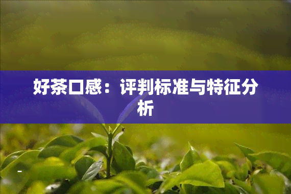 好茶口感：评判标准与特征分析