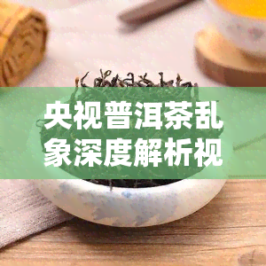 央视普洱茶乱象深度解析视频：揭露行业内幕