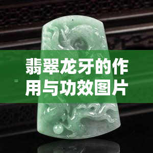 翡翠龙牙的作用与功效图片，揭秘翡翠龙牙的神奇作用与功效，看图更直观！