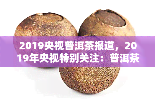 2019央视普洱茶报道，2019年央视特别关注：普洱茶的魅力与价值