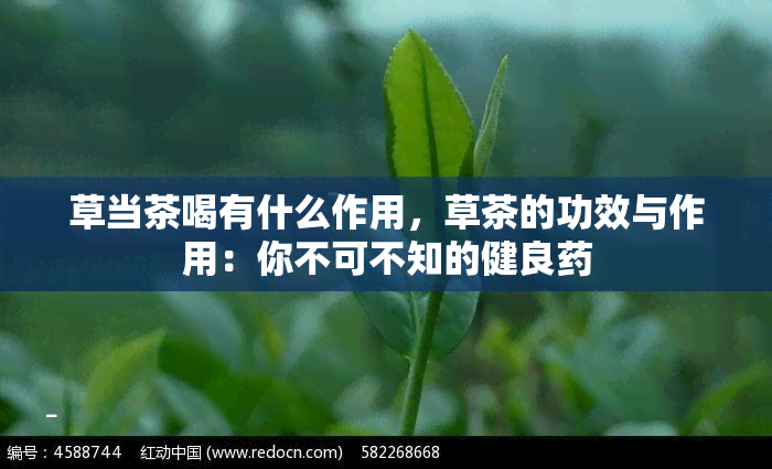 草当茶喝有什么作用，草茶的功效与作用：你不可不知的健良