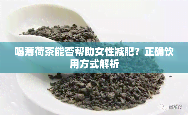 喝薄荷茶能否帮助女性减肥？正确饮用方式解析