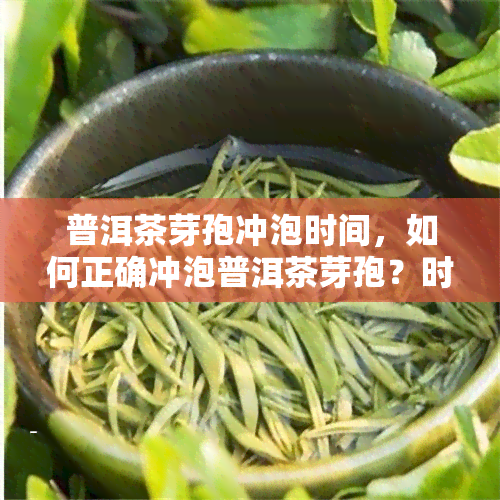 普洱茶芽孢冲泡时间，如何正确冲泡普洱茶芽孢？时间掌握是关键！