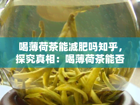 喝薄荷茶能减肥吗知乎，探究真相：喝薄荷茶能否有效帮助减肥？——知乎用户分享经验与观点