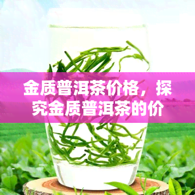 金质普洱茶价格，探究金质普洱茶的价格：从入门到高端的全面解析