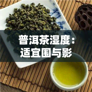 普洱茶湿度：适宜围与影响因素