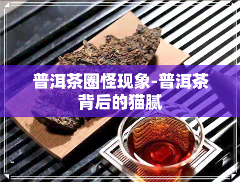 普洱茶圈怪现象-普洱茶背后的猫腻