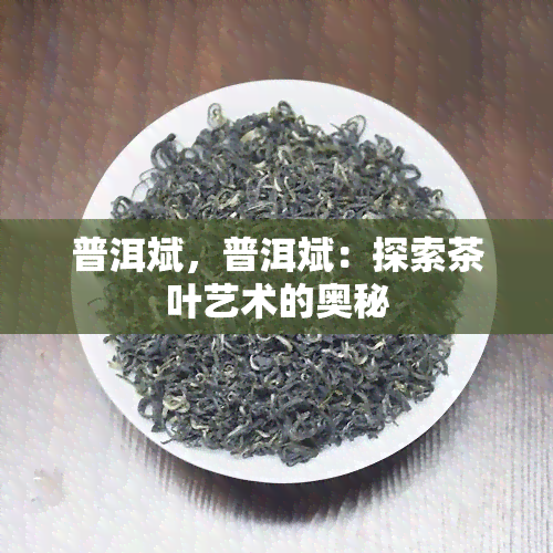 普洱斌，普洱斌：探索茶叶艺术的奥秘