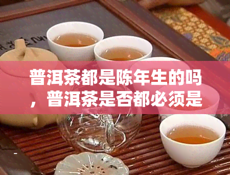 普洱茶都是陈年生的吗，普洱茶是否都必须是陈年的？