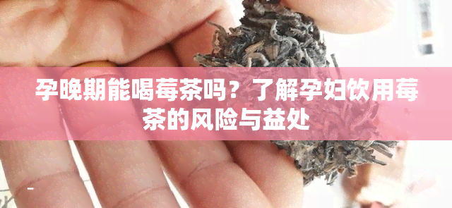 孕晚期能喝莓茶吗？了解孕妇饮用莓茶的风险与益处