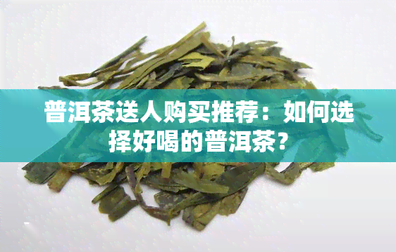 普洱茶送人购买推荐：如何选择好喝的普洱茶？