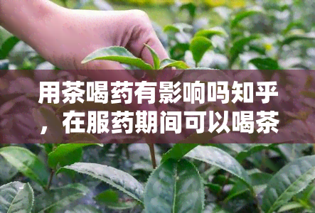 用茶喝有影响吗知乎，在服期间可以喝茶吗？可能对吸收产生影响，知乎用户分享经验与观点