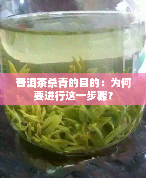 普洱茶杀青的目的：为何要进行这一步骤？